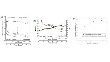 Mineral-fluid interactions (Leeds) 