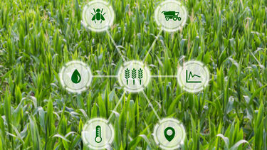 Concept for agritech showing graphic display with smart farm icons over a background of crops in a field.