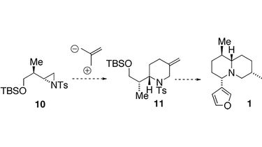 Natural products Synthesis