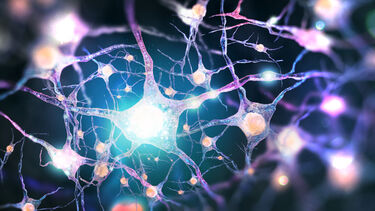 image of a neural network