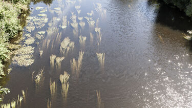 A close-up of the River Don, as taken from the river bank in Sheffield.