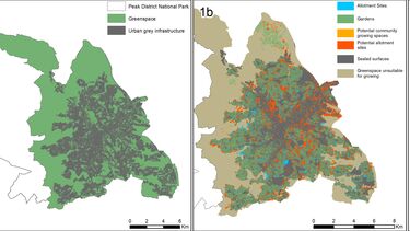 Sheffield urban growing map