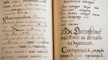 Pages from a book with Latin written in it