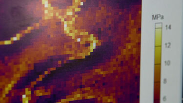 A scan from an atomic force microscope.