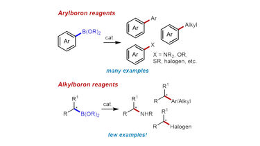 Arylboron and alkylboron reagents
