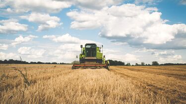 A combine harvester in a crop field