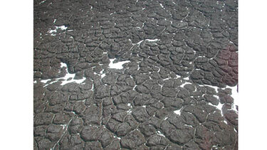 Polygonal pattern on the sublimation till that covers relict ice Beacon Valley. The polygon diameter is about 10m.