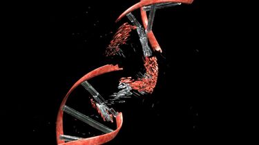 Repairing breaks in DNA
