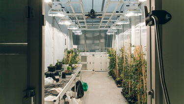 Arthur Willis Controlled Environment Centre