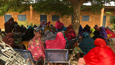 A group of women sit beneath a tree in Niger. 