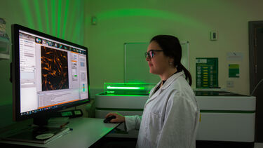 Researcher working in the lab screening patient tissue
