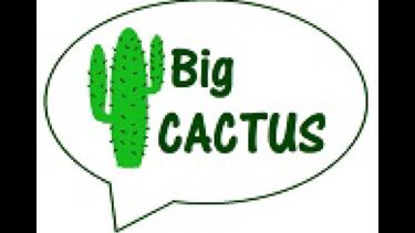 Big Cactus study logo