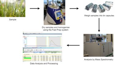 IRMS workflow diagram