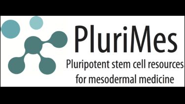 PluriMes logo