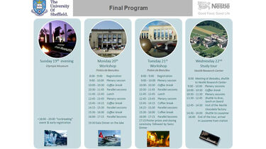 5th International Granulation Workshop flyer, Lausanne 2011