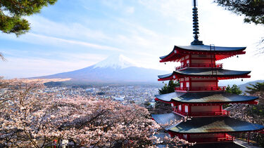 View of Pagoda with Mount fuji in background