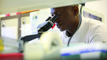 researcher with microscope 