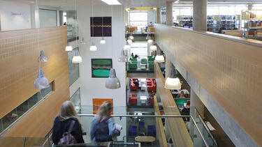 Bob's paintings hanging within the Information Commons