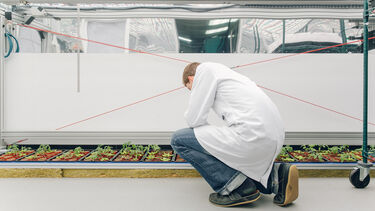 A research in a growth room in the Sir David Read Controlled Environment Facility