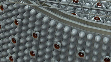 This graphic shows the detail of a possible configuration of the photomultiplier tube mounting structure for the WATCHMAN antineutrino detector, a key part of the Advanced Instrumentation Testbed.
