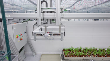 Phenotyping scanner in the Arthur Willis Environment Centre