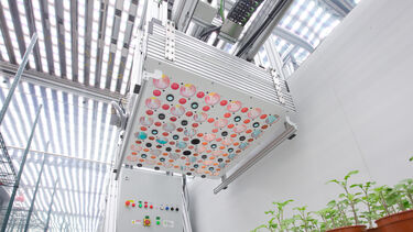 Phenotyping scanner in the Arthur Willis Environment Centre