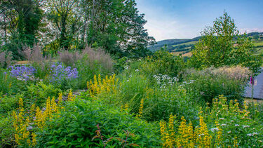 Bramblewood Cottage