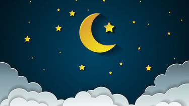 Nightline - acommodation