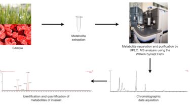 Targeted metabolomics workflow