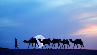 Migration and identity.