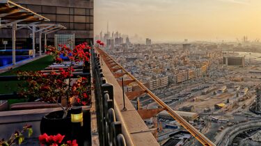Flowers on a terrace overlooking a city