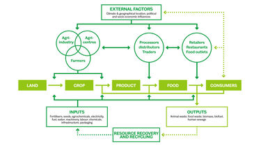 The Horton food system diagram showing the journey of food from lang to consumers