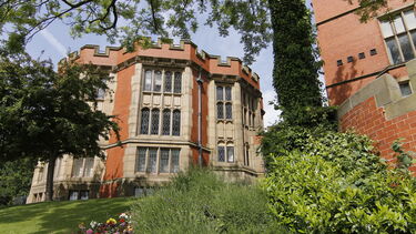 Firth court and trees