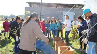 Cooperative members standing outside around plantpots