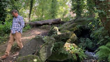 Tom Wild in nature, Sheffield