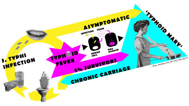 Illustration of Dan Humphreys Lifecycle talks