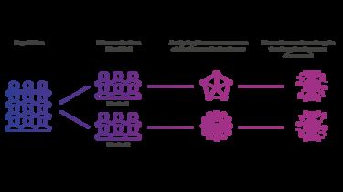Diagram shows how diseases group into clusters. Clusters are analysed for common causes and biomarkers are identified to enable the development of new drugs and treatments. 