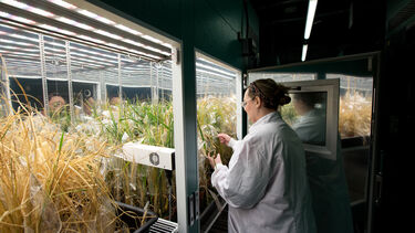 Arthur Willis Environment Centre