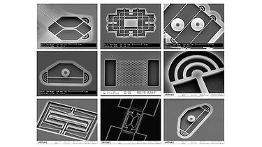EBL - image gallery slide 1