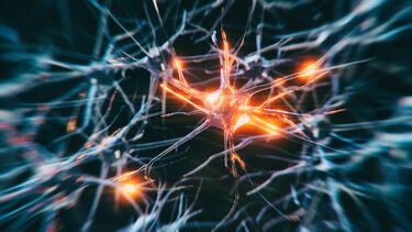 A 3D rendered image of a neuron cell network