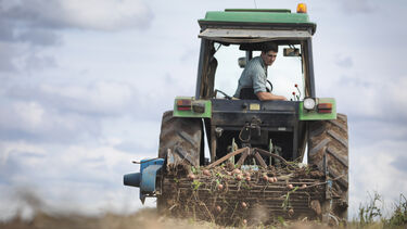 Farmer on tractor harvesting organic potatoes - stock photo