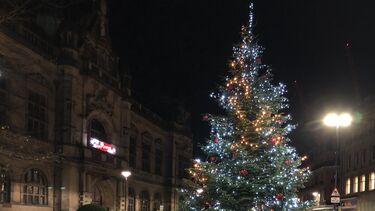 The Christmas tree in front of Sheffield Town Hall. Photo credit: Steel City Snapper