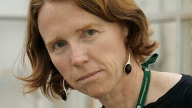 Professor Jane Hill