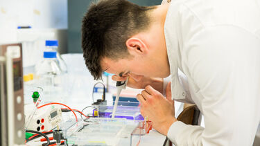 MBiolSci Molecular Biology