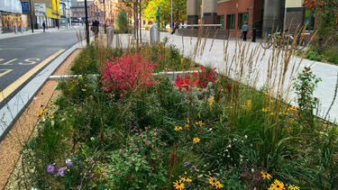 Grey to Green, Sheffield