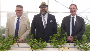 Photo of researchers at an Omani greenhouse