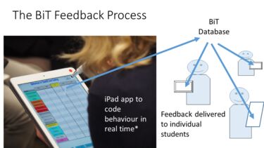 BiT Feedback Process