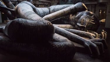 A photo of a sleeping giant lying on its side