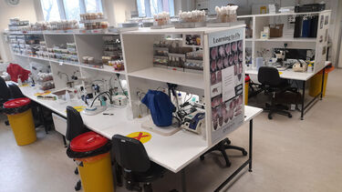 Fly lab room with workspaces containing dissecting microscopes and vials of Drosophila flies on shelving.. 