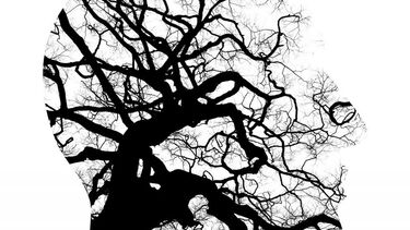 A head with tree branches